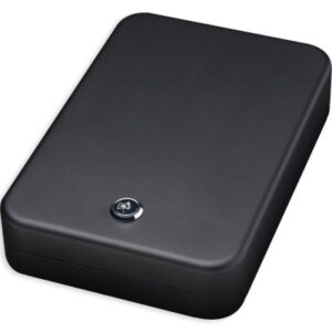 Bulldog Cases Personal Safe 9.5" x 6.5" x 2" with Key Lock and Security Cable